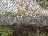 image of grave number 949673